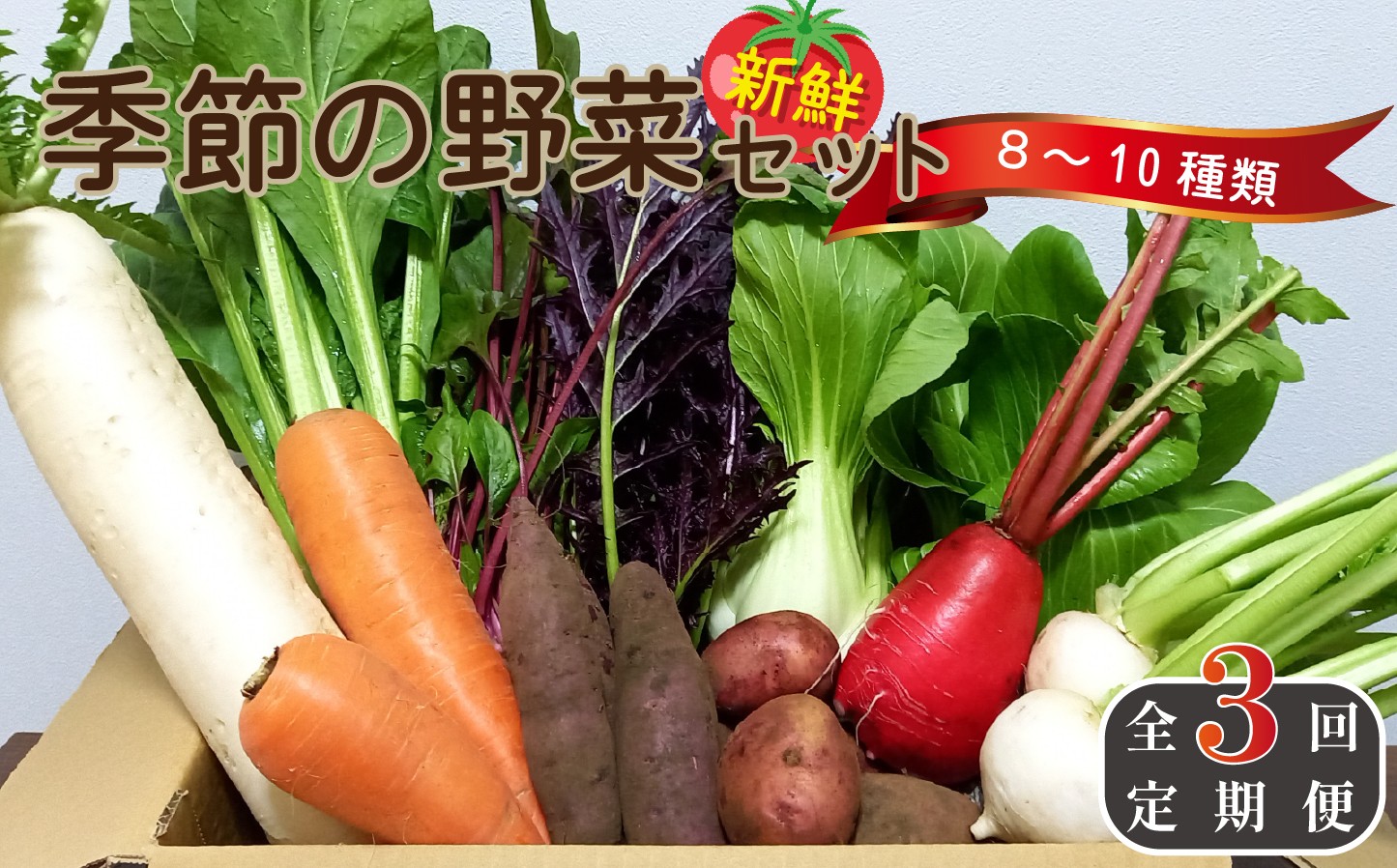 
                  【定期便 全3回】季節の野菜詰め合わせセット（全3回×8~10種類） 野菜 定期便 やさい 定期便 野菜セット やさいセット 春野菜 夏野菜 秋野菜 冬野菜 旬
                