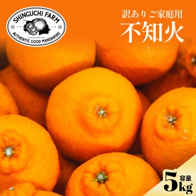【数量限定】2026年2月下旬より順次発送!【訳あり】不知火 5kg【C70-170】【1715687】
