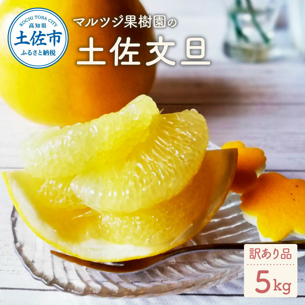 【先行予約】【ふるさと納税】マルツジ果樹園の土佐文旦訳あり品（約5kg） 訳あり 文旦 土佐文旦 ぶんたん ブンタン 期間限定 数量限定 2L～4Lサイズ 8～11個 果物 柑橘 フルーツ 高知県産 土佐市産 家庭用 傷 美味しい おいしい ふるさと納税 春 旬 故郷納税 返礼品 高知