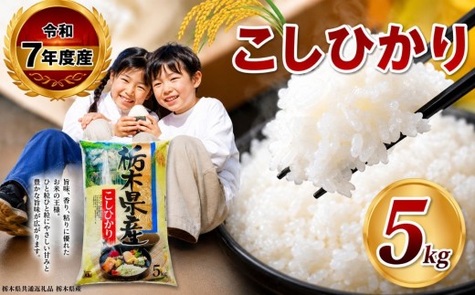 【栃木県共通返礼品】【令和7年度産】 栃木県産 こしひかり 白米 5kg  | 発送 ふるさと 納税 コシヒカリ お米 精米 白米 玄米 大粒 共通返礼品 送料無料 那珂川町 栃木県