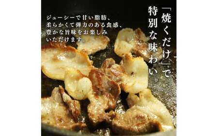 京丹波ぽーく モモ 切り落とし 500g 豚肉 ぶたにく モモ肉 モモ もも肉 ブタ ブタモモ肉 豚モモ肉 豚もも肉 お肉 肉 ポーク 贈答 ギフト お歳暮 お中元 冷凍便 自社ブランド 国産 ジュー
