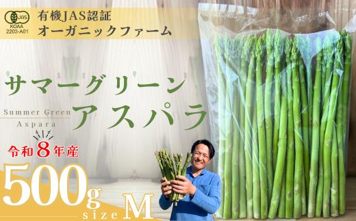 【先行予約】オーガニック サマーグリーンアスパラガス  M 500g【オーガニックアスパラ 有機JAS認証 有機栽培 サマーグリーンアスパラガス アスパラガス 夏アスパラガス Mサイズ 新鮮野菜 産地直送 500g 自然栽培 循環型農法  甘いアスパラガス 香り豊か 野菜ギフト 夏野菜 旬の野菜 アスパラギン酸 疲労回復 お取り寄せ野菜 】
