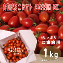 【ふるさと納税】C-39a ZEPPIN TOMATO Okayama 1kg箱（ZEPPIN EX）　平均糖度12度　甘い　フルーツトマト