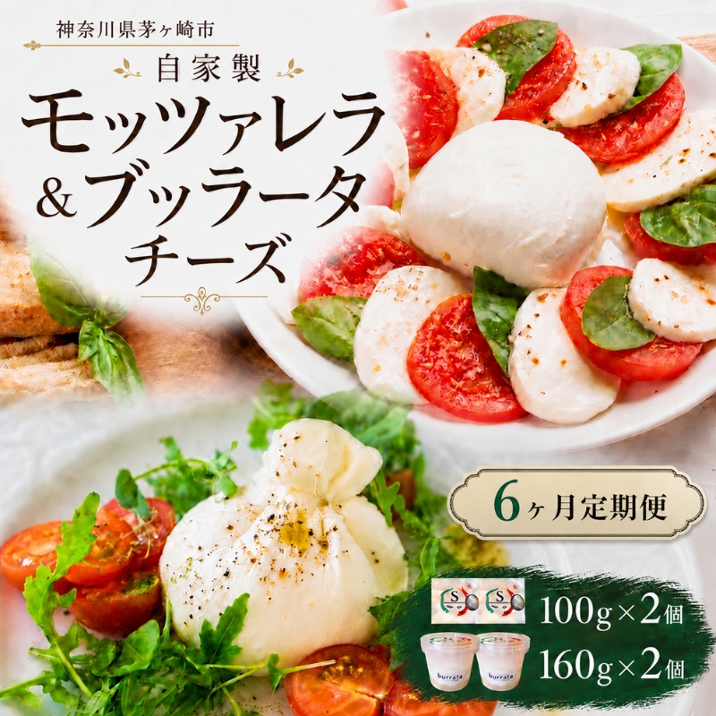 【6ヶ月定期便】自家製 チーズ 詰め合わせ モッツァレラチーズ 100g  ブッラータチーズ160g 各2個 出来立て 神奈川県産 幻のチーズ  モッツァレラ ブッラータ 手作り Osteria e Bottega S 神奈川県 湘南 茅ケ崎 フレッシュチーズ  おつまみ ピザ