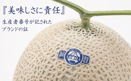 【3ヶ月定期便】静岡県産高級 アローマメロン 白等級 中玉1玉 約1.3kg以上×中玉1玉×3回 計約3.9kg以上 化粧箱入 果物 フルーツ メロン めろん 青肉 高級ブランドメロン ブランドメロン