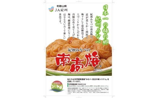 M276　ｔｏｍａｔｏ－ｕｍｅ　７００ｇ×２