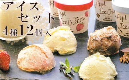 【安比高原】 アイスセット 12個入り（M-12Y） ／ アイス アイスクリーム カップ カップアイス デザート スイーツ 食べ比べ 味比べ 詰合せ 詰め合わせ セット ストロベリー いちご 苺 イチゴ チョコレート チョコ ヨーグルト バニラ 贈り物 APPI 安比高原牧場