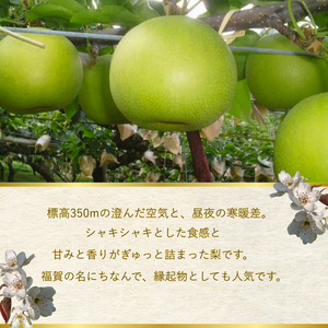 【  先行予約  】 二十世紀梨 約5kg （12～18玉） 福賀産 （ 山口県阿武町 ）  高糖度 ＆ シャキシャキ食感 昼夜の寒暖差が育む旬の味 梨 フルーツ 果物 デザート 【お届け：2025年