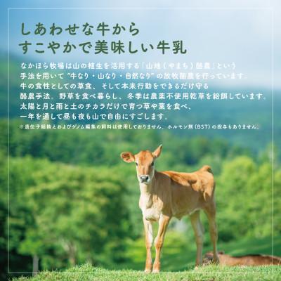 ふるさと納税 岩泉町 なかほら牧場 クリームリッチアイスと、ミルククリーム2種類のセット |  | 03