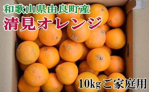 【訳あり・ご家庭用】和歌山由良町産の濃厚清見オレンジ約10kg　※2026年2月中旬～2026年2月下旬頃に発送予定（お届け日指定不可）/ 果物 くだもの フルーツ みかん 【tec877A】
