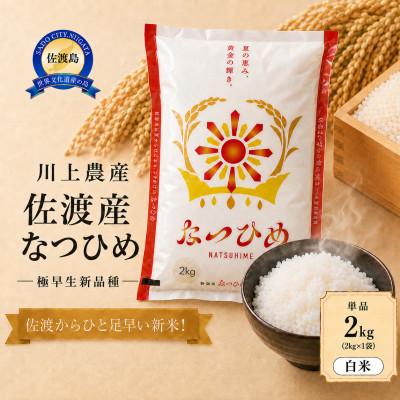 ふるさと納税 佐渡市 【令和8年産】佐渡産 なつひめ 2kg(精米)　川上農産のお米
