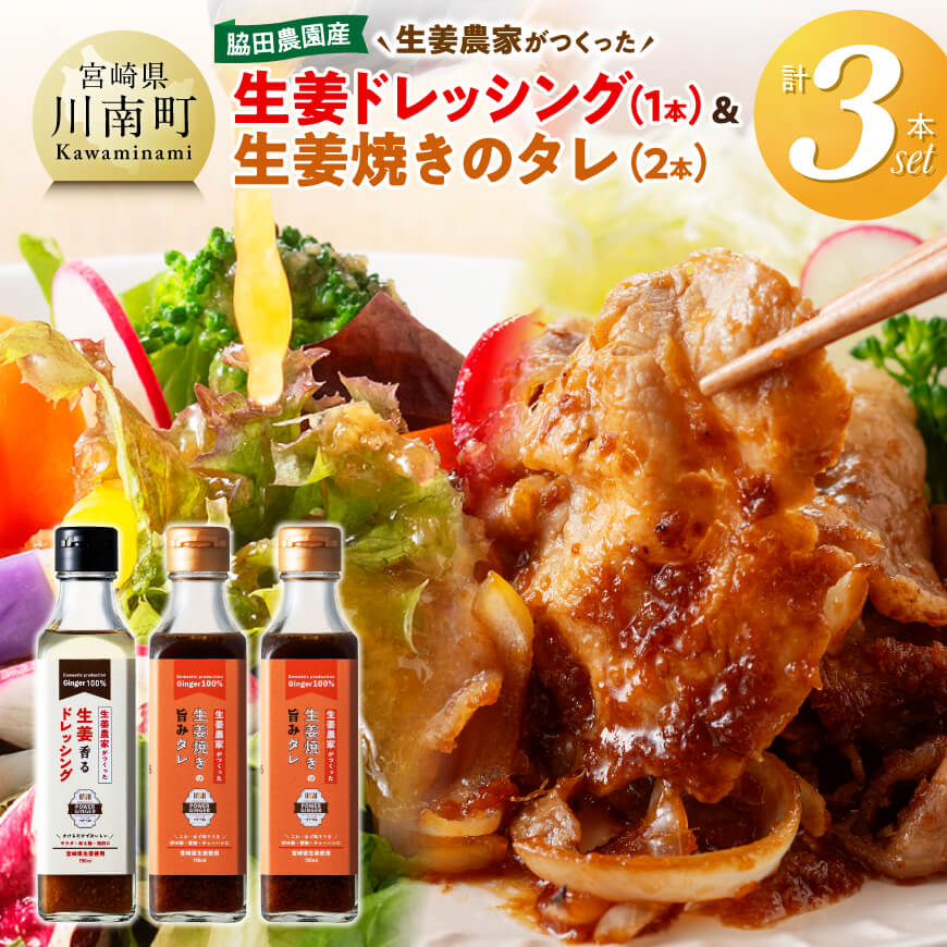 【ふるさと納税】脇田農園産　生姜農家が作った生姜ドレッシング1本＆生姜焼きのタレ2本　計3本セット - 生姜 ショウガ 国産 宮崎県産 九州産 川南町産 農家直送 しょうが 生姜焼きのたれ ドレッシング セット 送料無料 C07004
