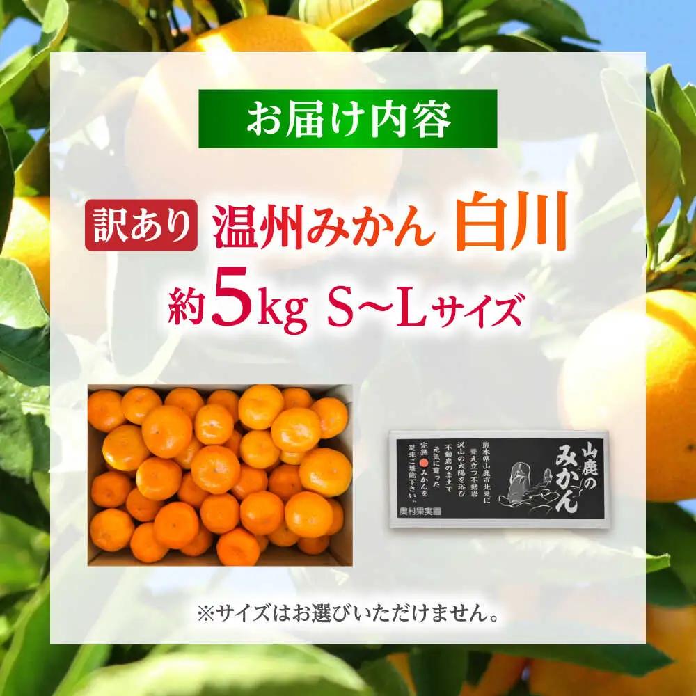【先行予約】 訳あり 温州みかん 『白川』 約5kg S～Lサイズ 【奥村果実園】[ZFK003]