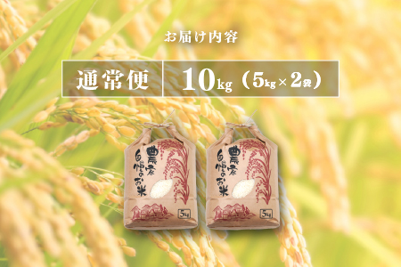 【数量限定！500袋限定販売！！】＜2025年11月以降 順次発送予定＞令和7年産 コシヒカリ 通常便（1回配送）計10kg（5kg×2袋） 通常便（1回配送）計10kg（5kg×2袋）