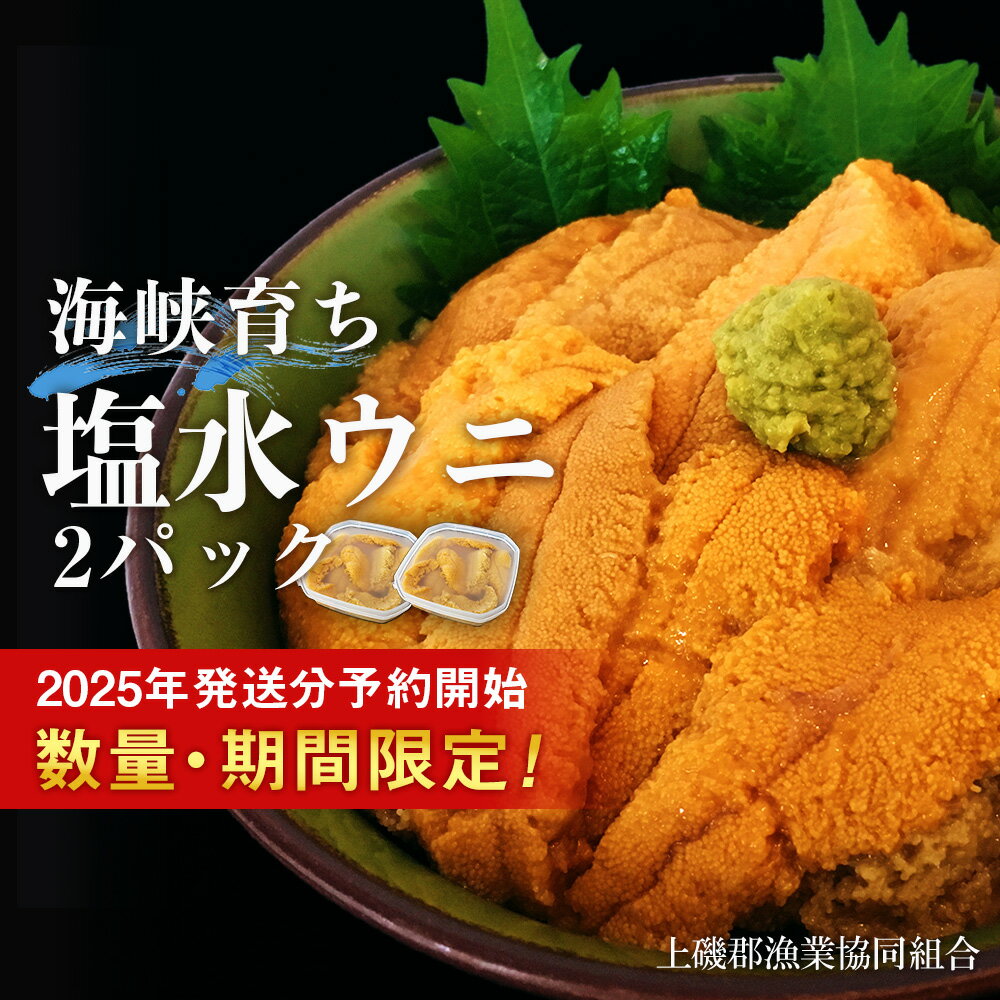 【ふるさと納税】【2025年6月中旬以降発送】 キタムラサキウニ 100g×2パック 上磯郡漁業協同組合むらさきうに 塩水ウニ 塩水パック 無添加 知内町 ふるさと納税 北海道ふるさと納税 ウニ 北海道産ウニ うに 雲丹