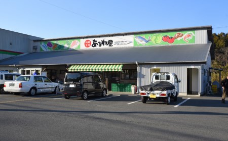 あるね屋の唐揚げ20個（和風味・塩味）
