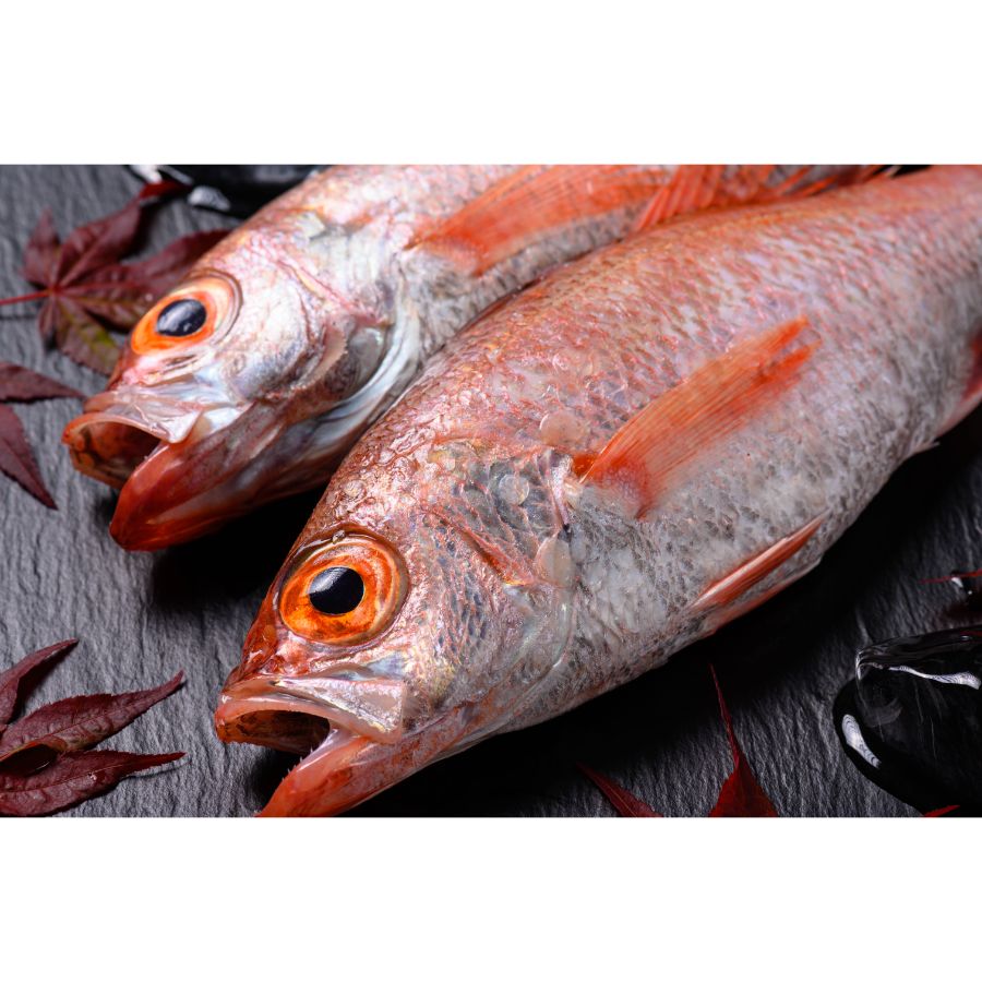 ＜蟹の匠 魚政＞のどくろ「熟成一汐」中サイズ(280g)×3尾