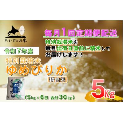 ふるさと納税 鷹栖町 【毎月定期便】【令和7年産】特別栽培米「ゆめぴりか」定期便(精白米・紙袋)5kg全6回