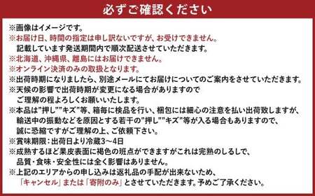 ぶどう 2024年 先行予約 桃太郎 ぶどう 2房（1房 480g以上 加温栽培）贈答用 ブドウ 葡萄  岡山県産 国産 フルーツ 果物 ギフト