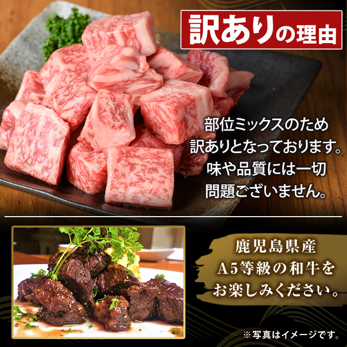 K-475-B ＜訳あり＞鹿児島県産黒毛和牛A5等級サイコロステーキ(計800g) 【ふるさと産直バザール】霧島市 不揃い サイコロ ステーキ 牛肉 国産 鹿児島県産 肉 精肉