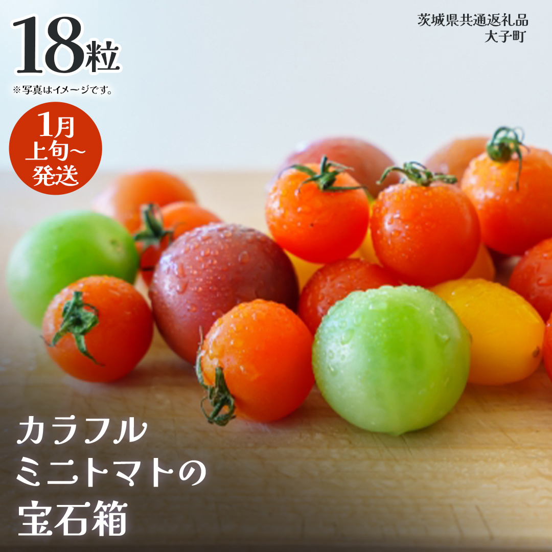 カラフル ミニトマト の宝石箱 18粒【2026年1月上旬発送開始】(茨城県共通返礼品：大子町) 野菜 フルーツ 旬 季節限定 期間限定
