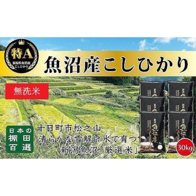【ふるさと納税】【令和7年産新米予約】【食味鑑定士厳選】日本棚田百選のお米 無洗米 天空の里 魚沼産 こしひかり 30kg(5kg×6)　お届け：令和7年10月下旬（10月21日～）