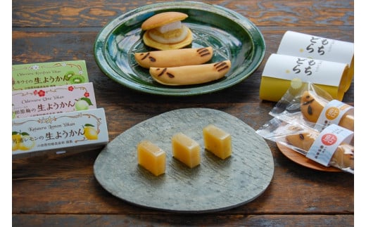 【夏限定】老舗小田原伊勢屋　小田原の夏を感じる和菓子セット〈出荷時期:2025年6月15日～2025年8月31日〉【 和菓子店 神奈川県 小田原市 】