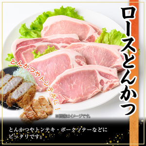 鹿児島県産豚肉3種(切り落とし・バラスライス・とんかつ)セット(合計2.9kg)  豚肉 切り落とし スライス【株式会社羽根】A727