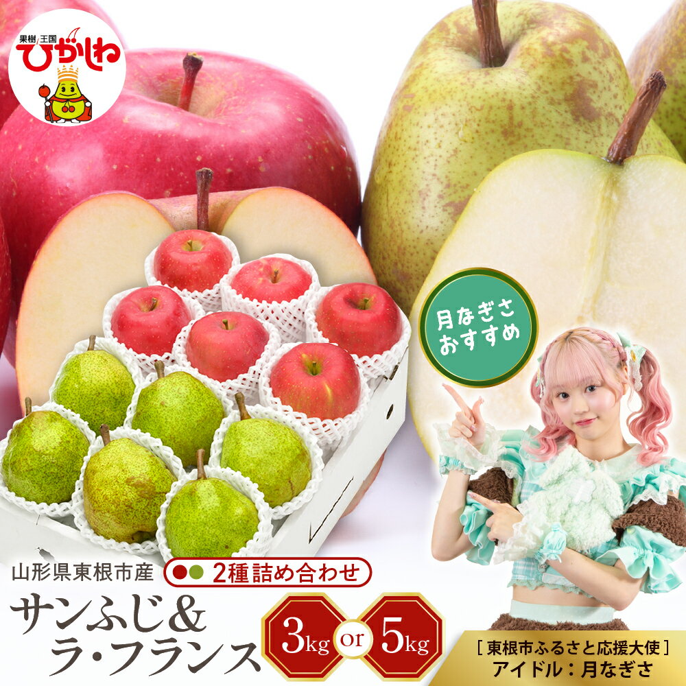 【ふるさと納税】 【 令和7年産 先行予約 】 サンふじ ラフランス 2種 詰め合わせ ( 選べる : 3kg / 5kg )/ りんご リンゴ 林檎 秋 旬 西洋梨 洋梨 なし フルーツ 果物 くだもの お取り寄せ 産地直送 東北 山形県 東根市