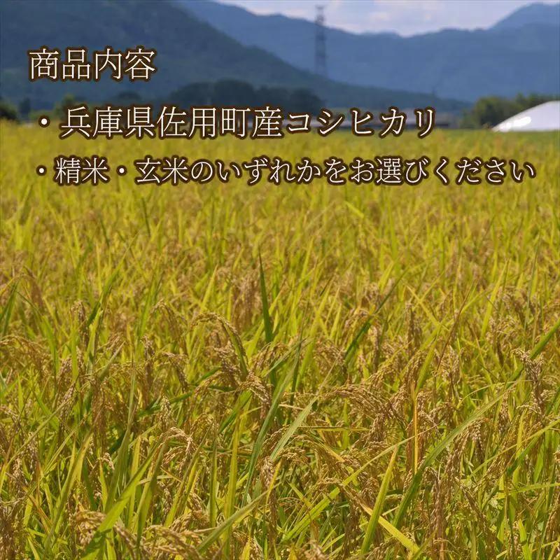 【兵庫県佐用町産】さよひめ営農のお米 5kg コシヒカリ/精米