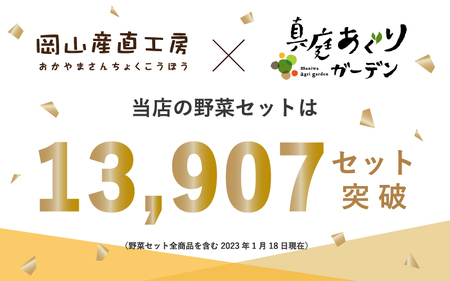 【岡山の旬をお届け！】 真庭あぐり野菜セット（野菜10品・卵・ヨーグルトのセット） / 産地直送 農家 お試し おためし野菜 岡山県 旬野菜 新鮮 あぐりガーデン 国産  国産 蒜山 ジャージー ヨー