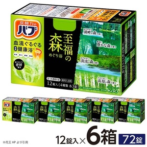 SA2221　花王バブ 至福の森めぐり浴 12錠入×6箱