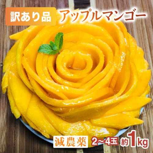 【訳あり】減農薬 アップルマンゴー 約1kg 2〜4玉 【2026年6月中旬以降順次発送】アナナス農園 完熟 マンゴー 果物 フルーツ 023-a023_2026