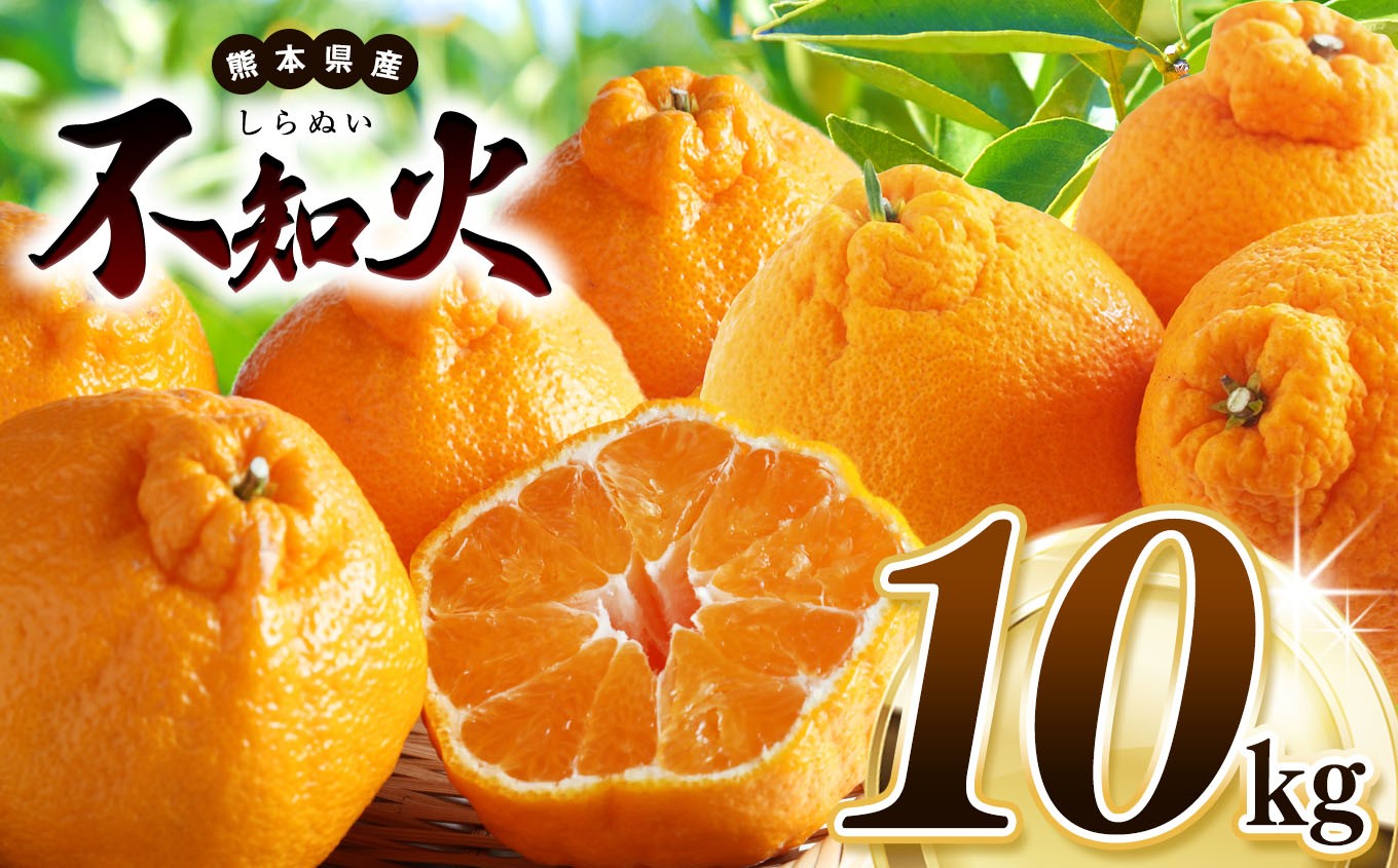 
                  【 先行予約 】不知火 約 10kg 池田ファーム | 柑橘 みかん フルーツ 和製 果物 熊本県産 熊本県 熊本 くまもと 和水町 なごみまち なごみ ミカン 柑橘類 果物 フルーツ 
                