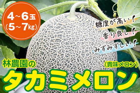 タカミメロン 4～6玉（5～7kg）【6月頃発送】　林農園