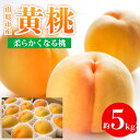 【ふるさと納税】山形市産 黄桃 秀品 5kg (12～20玉) 柔らかくなる桃 【令和7年産先行予約】FS24-759