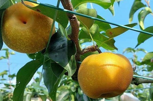 ※画像はイメージです