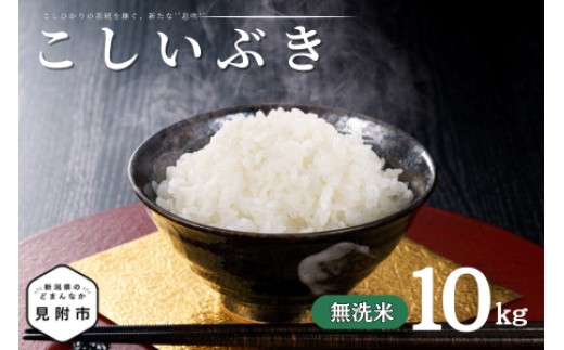 令和7年産 新潟県産 こしいぶき 10kg 無洗米 米 お米 白米 おすすめ 人気 こめ コメ 新潟 見附 見附市 7年 2025年産 ふるさと納税 諸長