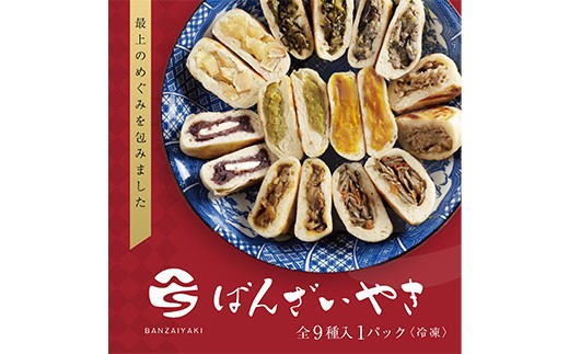 【定期便 全12回】新庄最上のオリジナルおやき「ばんざいやき」9個入り 山形県 新庄市 F3S-2612
