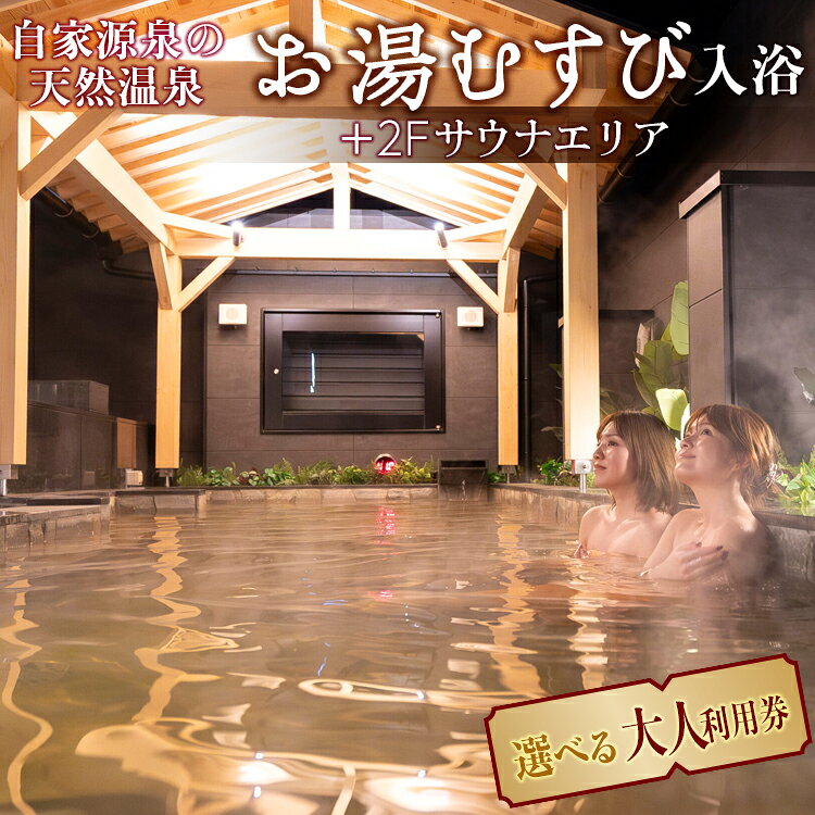 【ふるさと納税】【選べる！】自家源泉の天然温泉 お湯むすび入浴+2Fサウナエリア大人利用券