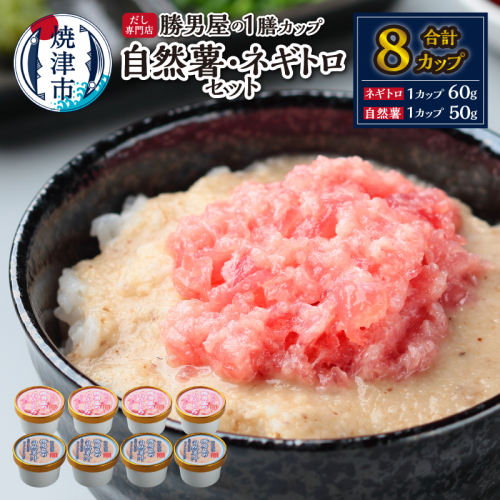 a12-224　だし専門店「勝男屋」の一膳とろトロ 自然薯・ネギトロセット