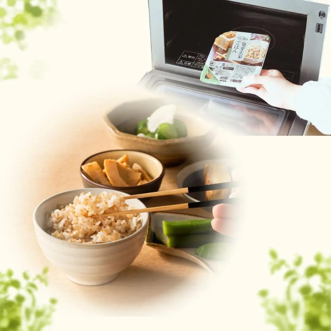 【ふるなび限定】発芽玄米 パックご飯 20個 新潟県産 レトルト 小千谷市 玄米 FN-Limited-SP