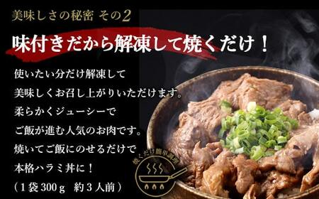 【隔月3回定期便】やわらか 牛ハラミ（サガリ）肉 極旨秘伝醤油タレ漬け1.2kg（300g×4袋）×隔月3回 訳あり ハラミ 牛肉 個包装 焼肉 CS-033