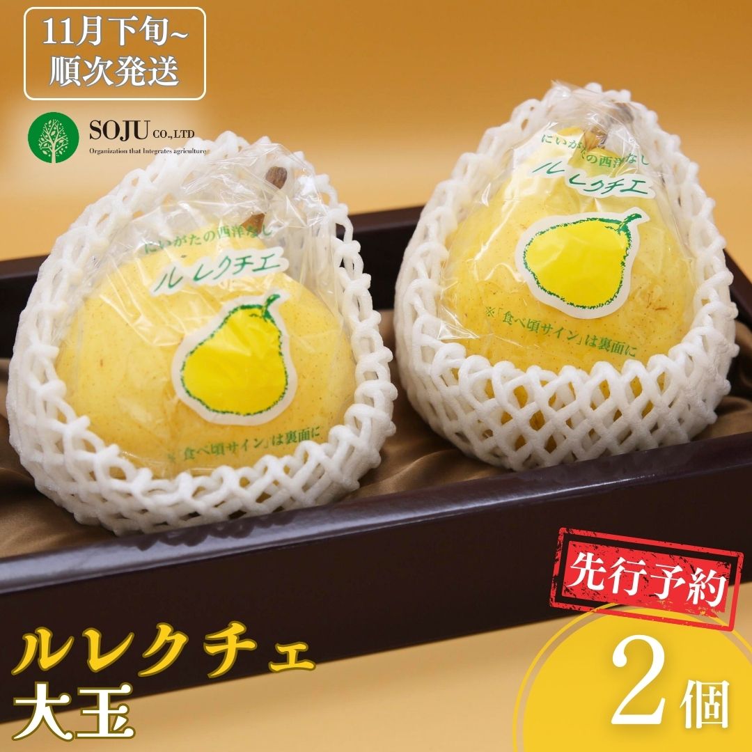 【ふるさと納税】先行予約 ル レクチェ 大玉 2玉 [11月下旬から発送予定] 令和7年度 洋梨JGAP認証農場 新潟県 三条市産 ル レクチエ 冬限定 期間限定 幻の西洋梨 フルーツ 秋 旬 洋梨 ル・レクチェ [三条果樹専門家集団]【016P029】
