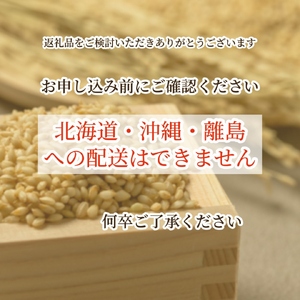 米 コシヒカリ 玄米 10kg〈アグリにのうみ〉京都・亀岡産《令和5年産》 京都丹波産 ※着日指定不可※沖縄・北海道・離島お届け不可