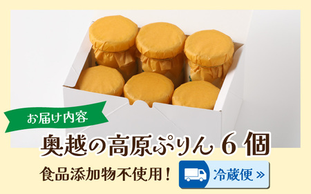 原材料4つのみ！食品添加物不使用「奥越の高原ぷりん」6個セット 昔ながらの素朴な味