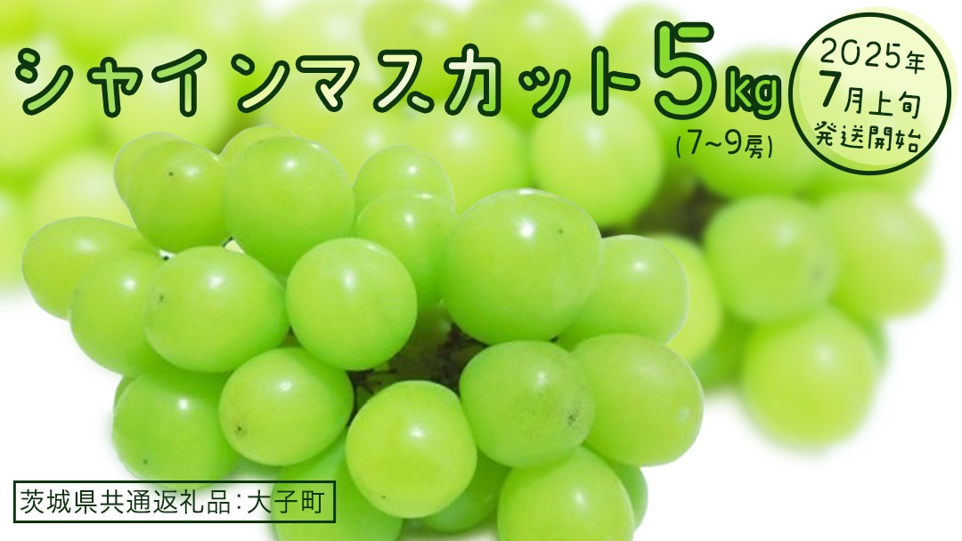 
            シャインマスカット 5kg (7～9房)【2025年7月上旬発送開始】(茨城県共通返礼品：大子町)　ぶどう 葡萄 ブドウ マスカット フルーツ 果物 贈答用 ギフト 贈り物
          
