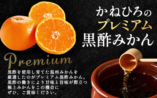 【2026年11月中旬頃～12月頃配送予定】プレミアム黒酢みかん 約5kg (M / Lサイズいずれか ) のし対応 温州みかん B-910