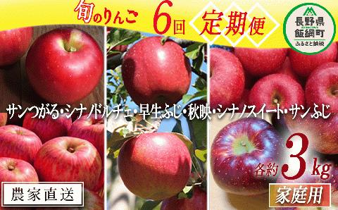 旬のりんご 【 定期便 】 家庭用 3kg × 6回 ファームたんぽぽ 沖縄県への配送不可 2025年9月上旬頃から2025年12月下旬頃まで順次発送予定 令和7年度収穫分 信州 果物 フルーツ リンゴ 林檎 長野 予約 農家直送 長野県 飯綱町 [0736]