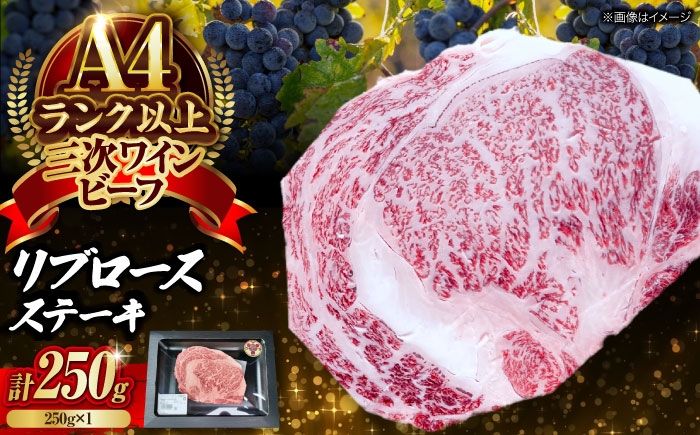 
                  【お中元ギフト対象】肉 三次ワインビーフ リブロース ステーキ 250g （250g×1枚） 厚切り 黒毛和牛 サーロイン お肉 牛肉 にく 国産 焼肉 ステーキ 広島県産 極上グルメ ブランド牛 贅沢 芳醇 ジューシー 食感 絶品 贈り物 贈答品 お取り寄せ 赤身 霜降り 旨み 濃厚 和牛 日本産 こだわり 逸品 産地直送 三次市/三次ワインビーフ みーとのば [APAX016]
                